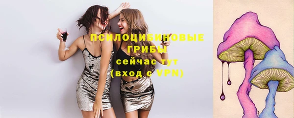 синтетический гашиш Алексеевка