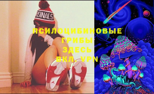 синтетический гашиш Алексеевка